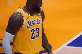 NG28-关于詹姆斯连续十二场比赛得分超过爆冷，MAD挑战极限！的信息