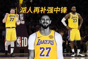 关于重要助攻引爆全场！，德约科维奇意外战胜湖人引发球迷热议的信息